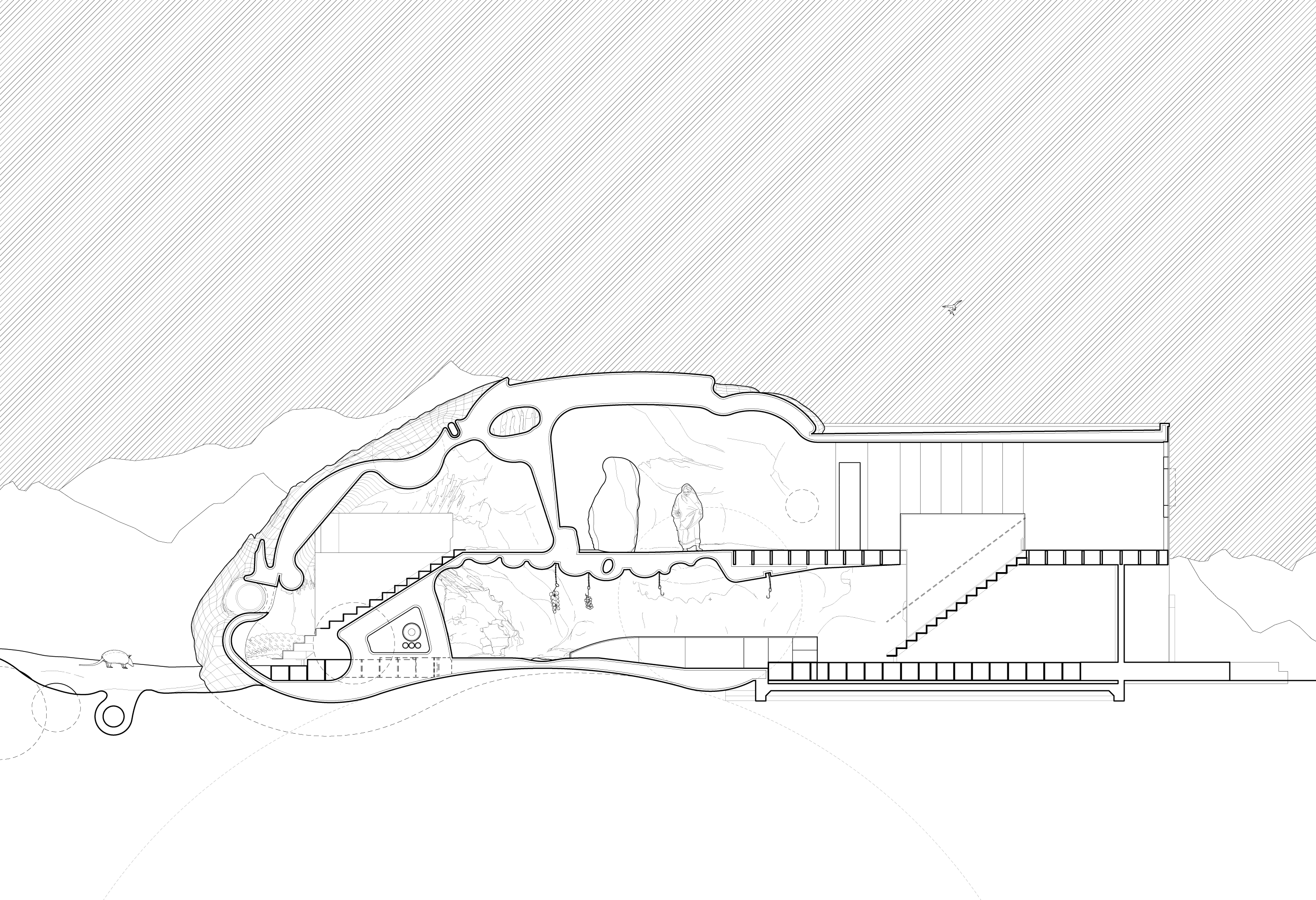 Section